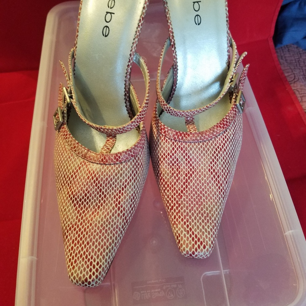 BEBE Pink Snake Print Double Buckle Slide